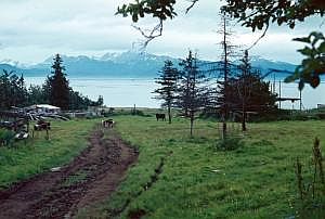 alaska1978_1003