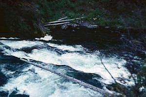 alaska1978_962