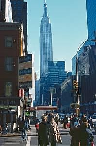 ny77_79_023