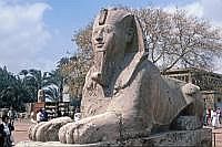 Memphis: Alabaster Sphinx