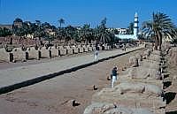 Luxor-Tempel: 'Widder-Allee'