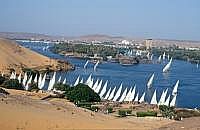 Assuan: Felucken auf dem Nil, beim Mausoleum des Aga Khan