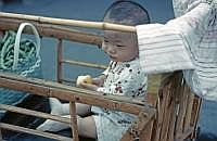 Peking: Kinderwagen