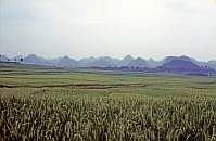Provinz Guizhou