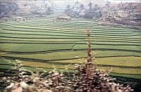 Provinz Guizhou: Reisfelder