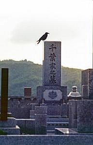 japan1984_1071