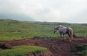 japan1983_0608