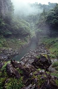 japan1984_0882