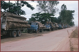 Lastwagen mit Holz warten auf die Fhre nach Thailand