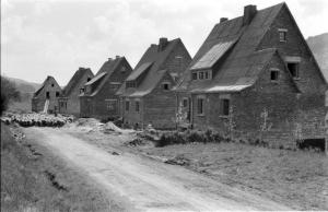 1954_lanfertsweg,schafe