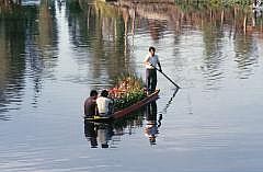 Xochimilco: Die 'Schwimmenden Grten'