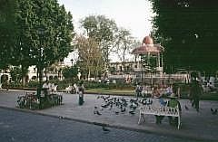 Oaxaca: Zocalo (Plaza De La Constitucin)