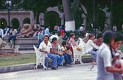 Oaxaca: Zocalo (Plaza De La Constitucin)