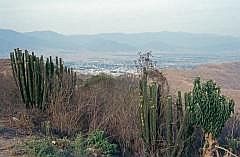 Auffahrt zum Monte Alban