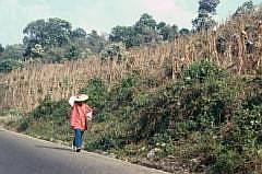 Auf dem Weg nach San Cristbal