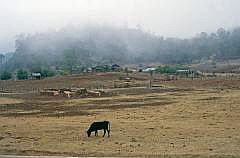 Auf dem Weg nach Palenque