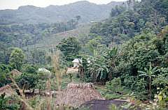 Auf dem Weg nach Palenque