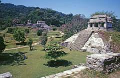 Palenque: Rechts vorne Templo del Conde, im Hintergrund links der Palast, rechts davon der Tempel der Inschriften