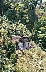 Palenque: Tempel des Bltterkreuzes