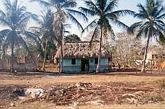 Auf dem Weg nach Tulum: Typisches Haus in Yukatan