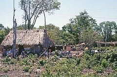 Auf dem Weg nach Tulum: Typisches Haus in Yukatan