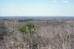 Landschaft bei Chichn Itz