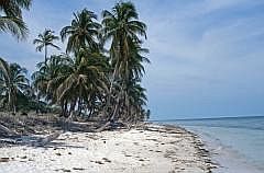 Strand bei Campeche