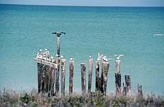 Strand bei Campeche