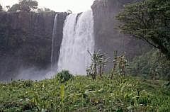 El Salto de Eyipantla ist mit einer Hhe von 50 m und einer Breite von 40m der grte Wasserfall der Region (bei San Andrs Tuxtla)