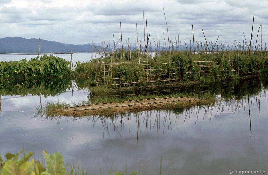 Burma 52 InleSee EinbeinFischer und schwimmende Gärten