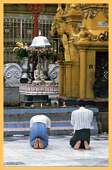 Yangon: Shwedagon Pagode - Betende