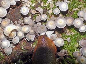 P1320757