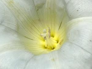 P1320538
