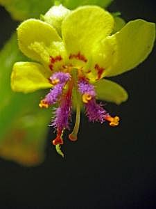 P1320600