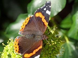P1320941