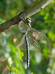 P1330001