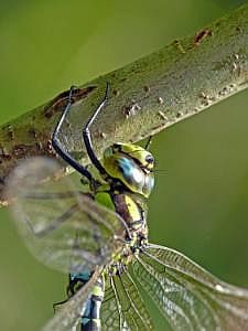 P1330003