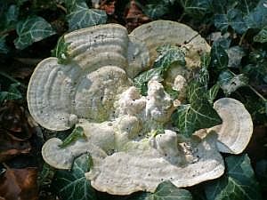 P1330064
