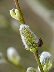 P1100889