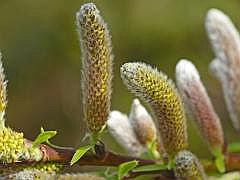 P1110103