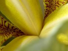 P1120620