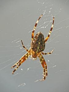 P1220861