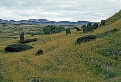 Moais vor Rano Raraku