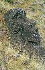 Moai am Rano Raraku