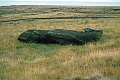 Rano Raraku: Liegender Moai, ich als Grenvergleich