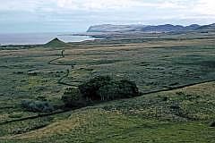 Rano Raraku: Weg der Moais