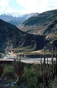Gebirgslandschaft mit Kakteen auf dem Weg nach Cuzco
