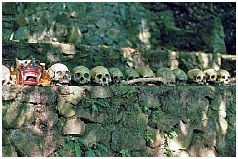 Bali-Aga-Dorf Trunyan: Friedhof