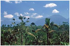 Gebirgslandschaft im nrdlichen Bali