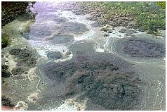 Tirta Empul: Der heilige See